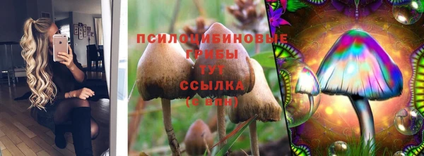 а пвп мука Алексин