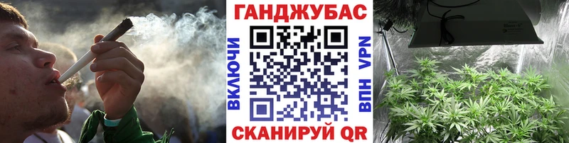 Бошки марихуана Amnesia Грайворон